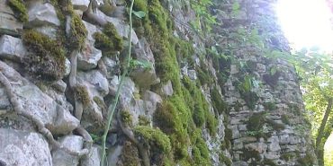 FB_IMG_1716703699401