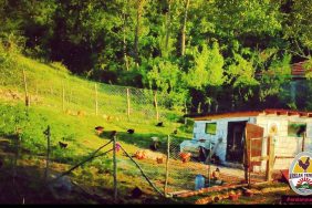 Screenshot_20240718_124134_Facebook
