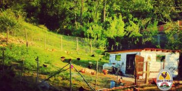 Screenshot_20240718_124134_Facebook