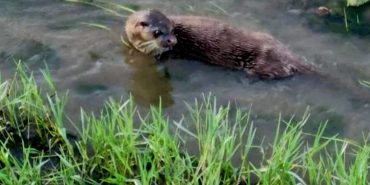 FB_IMG_1722763584080