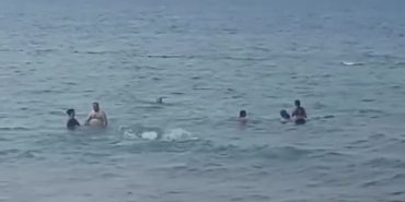 Screenshot_20240811_165949_Gallery