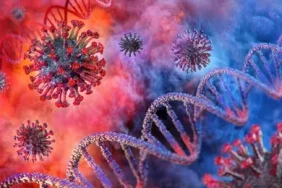 corona_virus_1.jpg