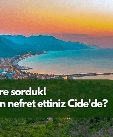 Cide' lilere_20241030_030802_0000