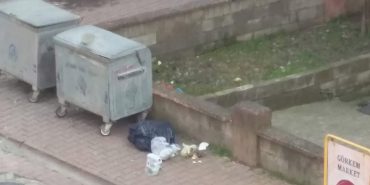 FB_IMG_1730088195460