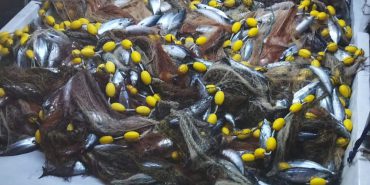 FB_IMG_1730236792415