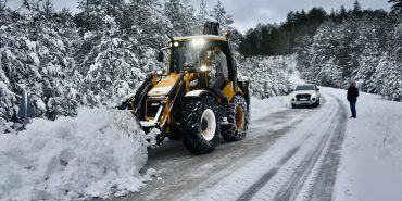 FB_IMG_1732682802962