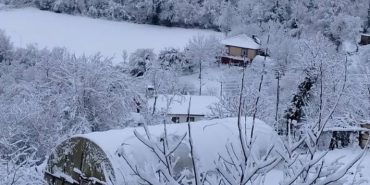 Screenshot_20241117_121159_Instagram