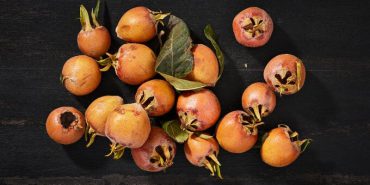 27110005_1-b99c45-680x454