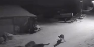 Screenshot_20250119_191228_Facebook