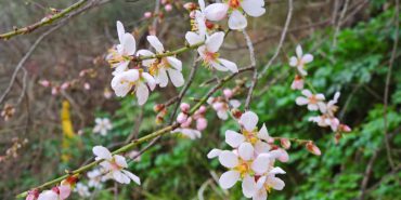 FB_IMG_1738512171325