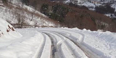 FB_IMG_1738855339982