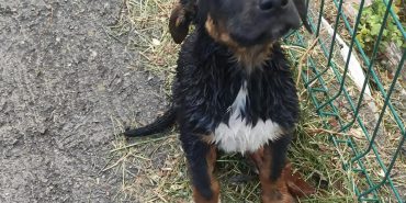 FB_IMG_1739404450524