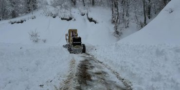 FB_IMG_1739406859810