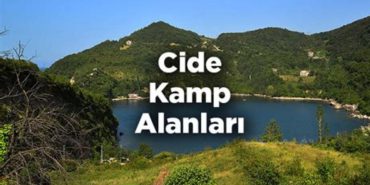 Screenshot_20250201_075527_ChatGPT