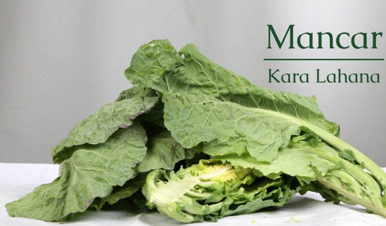 mevsimlik-dogal-kaliteli-urunler-sebze-ot-mancar-kara-lahana-faydalari-blog