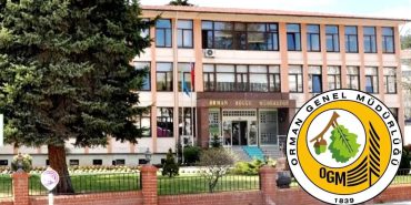 01012025115751-24679-28322