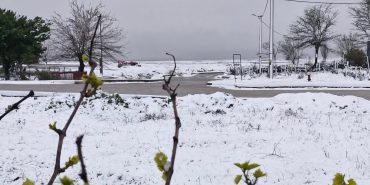 FB_IMG_1744035976010