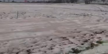 Screenshot_20250402_205003_Facebook