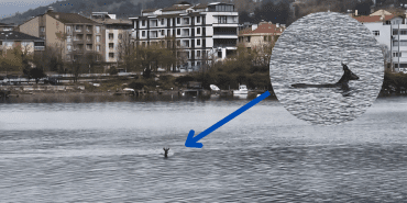 Adsız tasarım_20250503_072744_0000