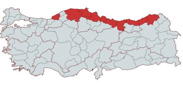 FB_IMG_1746193852179