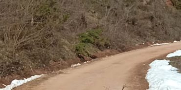 FB_IMG_1747117944329