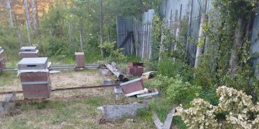 FB_IMG_1748384703555