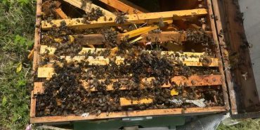 FB_IMG_1748839860359