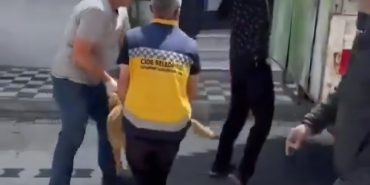 Screenshot_20250611_101001_X