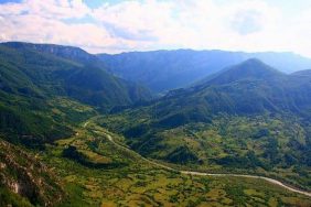 images (4)