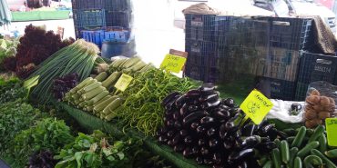 FB_IMG_1751994106805