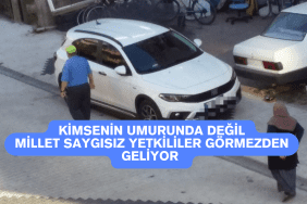 Kimsenin umurunda değil_20250728_150839_0000