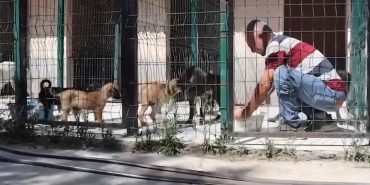 Screenshot_20250704_223638_Instagram