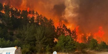 Screenshot_20250724_094852_Facebook