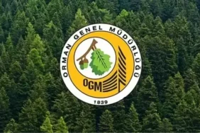 ogm-personel-alimi-basvuru-sonuclari-ogm-3-477-18515107-4005-amp-1744793406