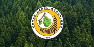 ogm-personel-alimi-basvuru-sonuclari-ogm-3-477-18515107-4005-amp-1744793406