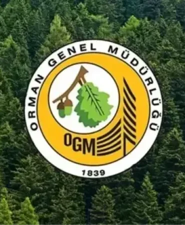 ogm-personel-alimi-basvuru-sonuclari-ogm-3-477-18515107-4005-amp-1744793406