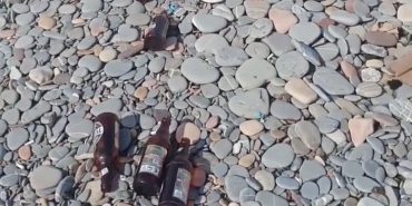 Screenshot_20250808_123952_Gallery