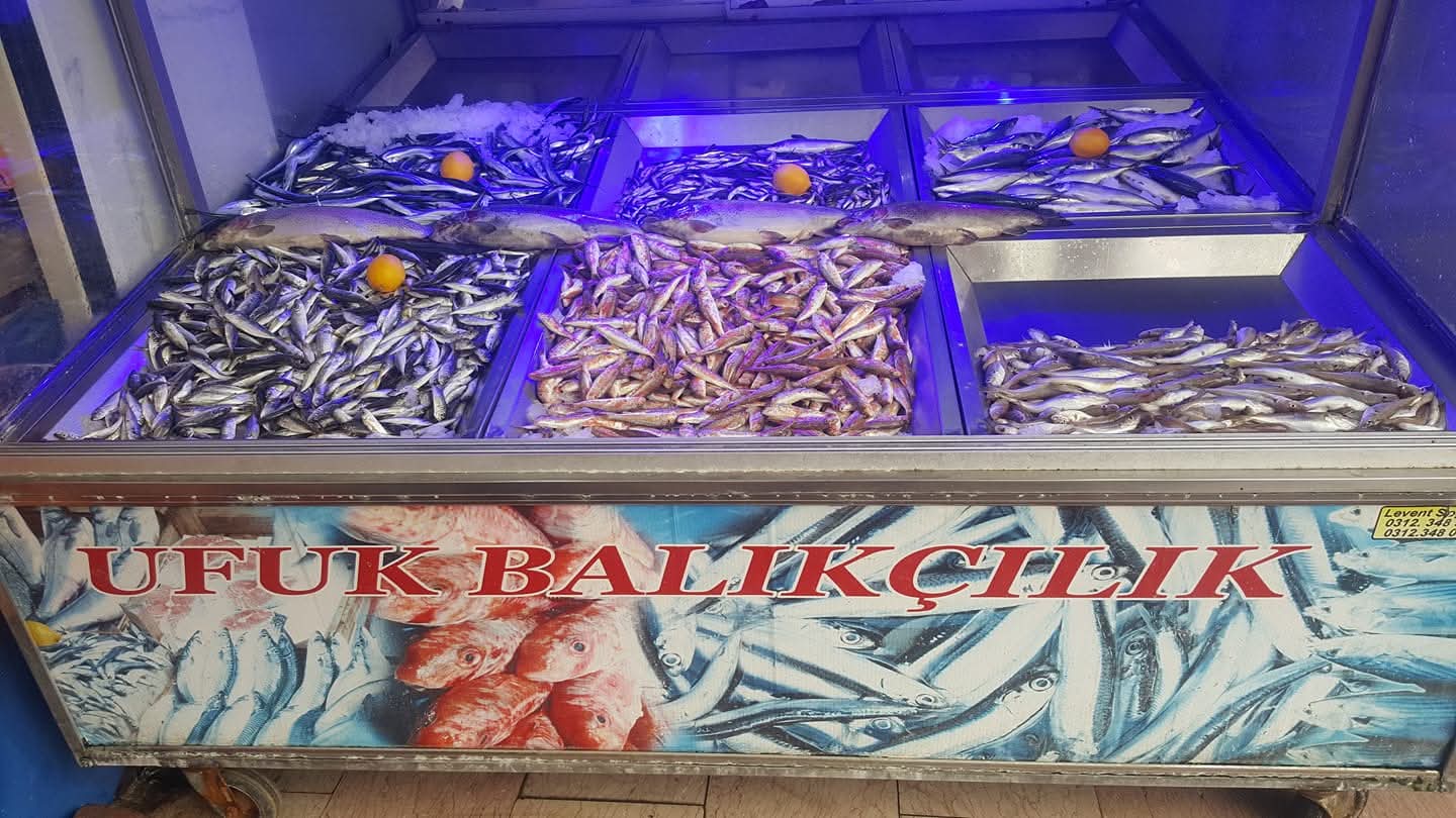 FB_IMG_1756978631580