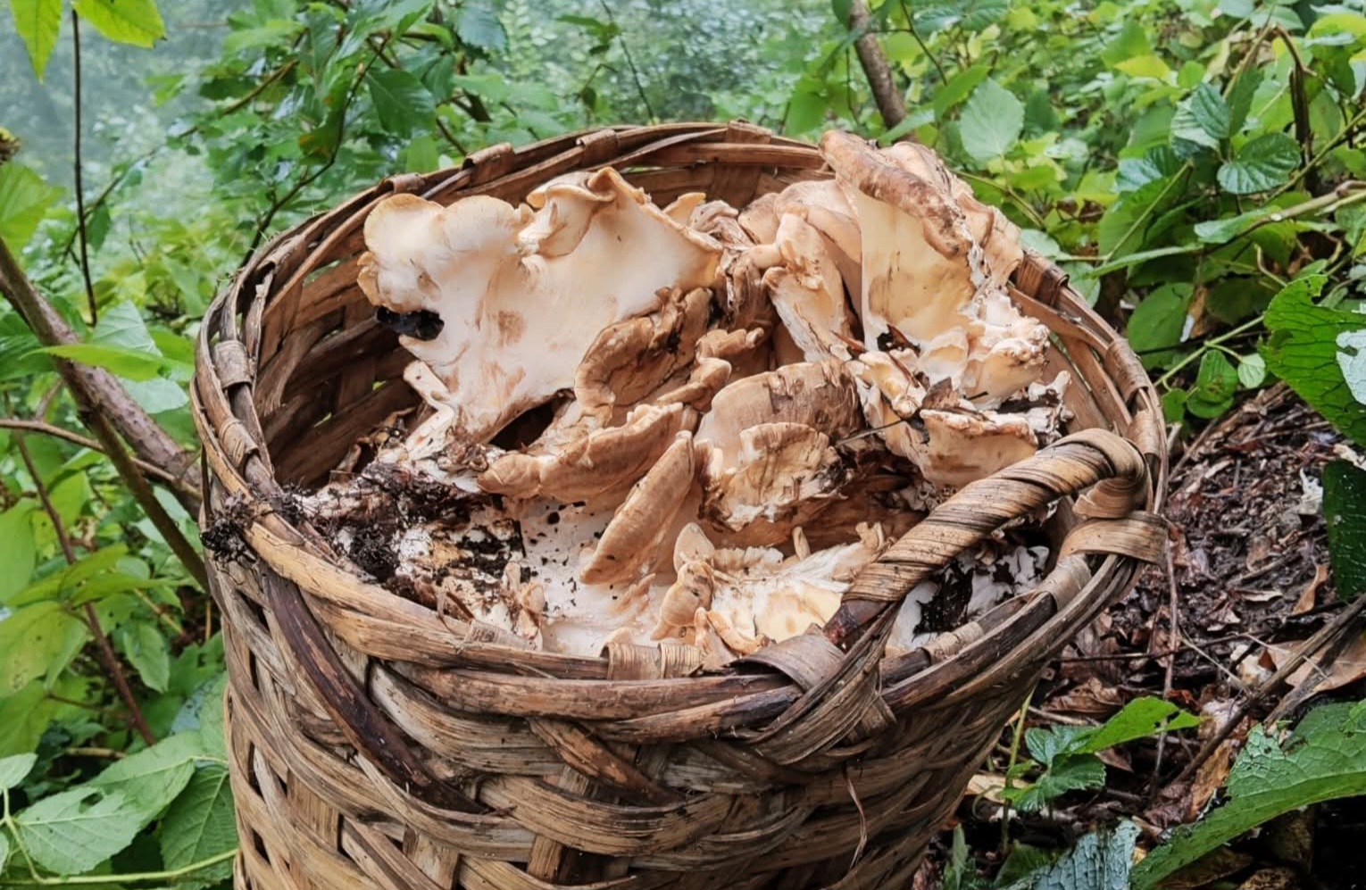 FB_IMG_1757662149820