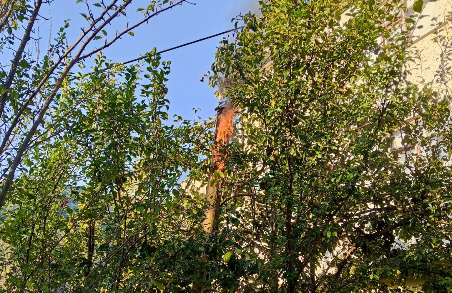 FB_IMG_1757742438431