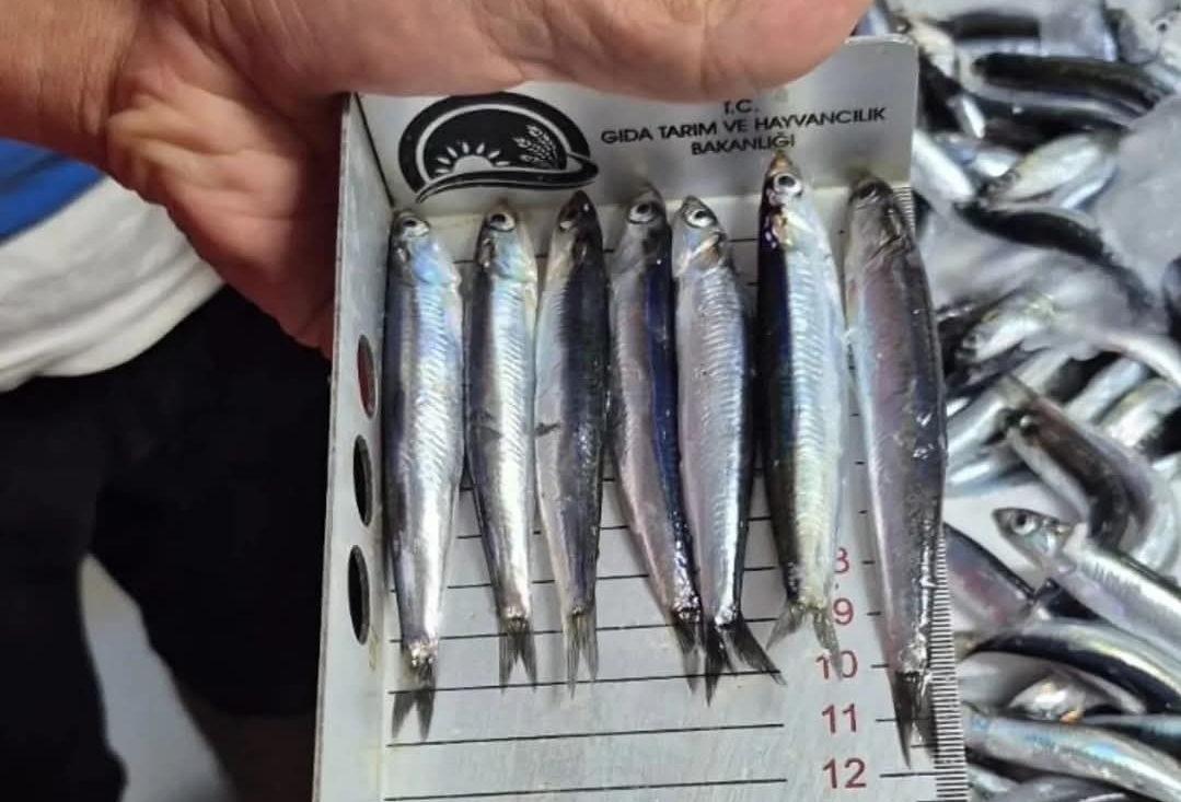 Screenshot_20250919_221803_Facebook