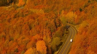 Kastamonu–Cide yolundaki ormanlar, sonbaharın gelişiyle birlikte sarı, turuncu ve kırmızının