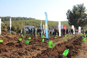 14232958_img20251213wa0019