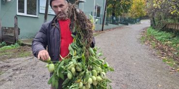 Screenshot_20251213_161918_Facebook