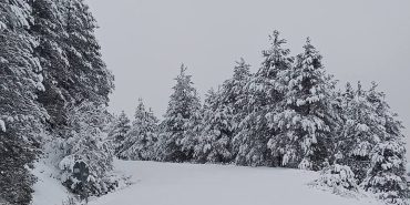 Screenshot_20251227_124911_Facebook