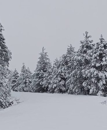 Screenshot_20251227_124911_Facebook