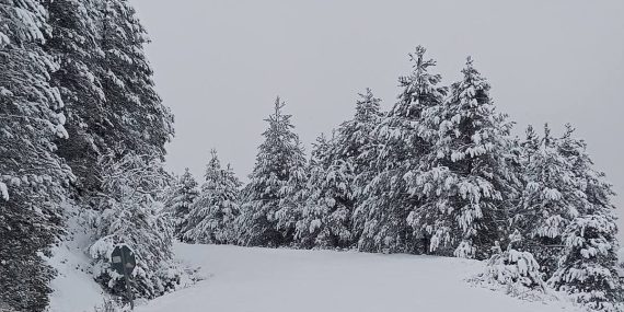 Screenshot_20251227_124911_Facebook