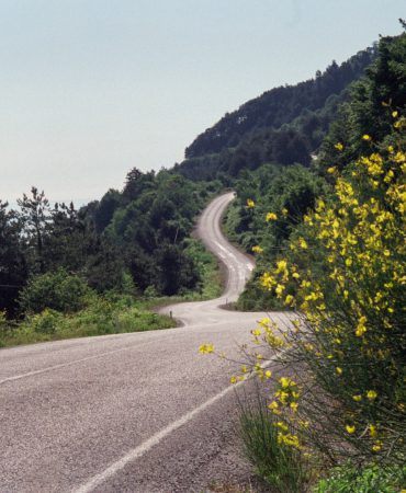 cide-inebolu-yolu-ismail-terzi
