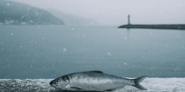 file_0000000004d47246bf4ef86d01337b32