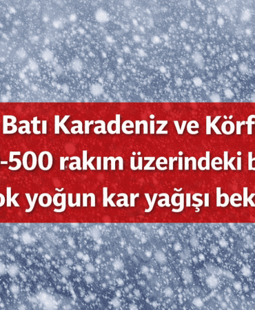 file_0000000060b8720cb56a44e149f005d2